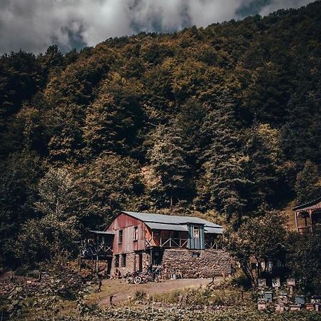 Korsha Guesthouse Roshka المظهر الخارجي الصورة