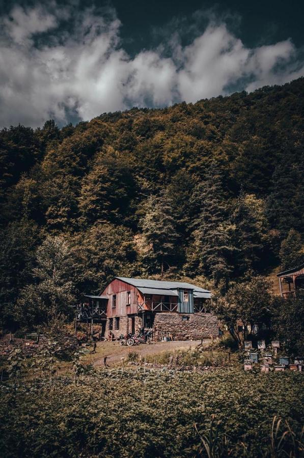 Korsha Guesthouse Roshka المظهر الخارجي الصورة