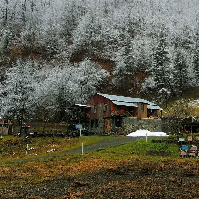 Korsha Guesthouse Roshka المظهر الخارجي الصورة